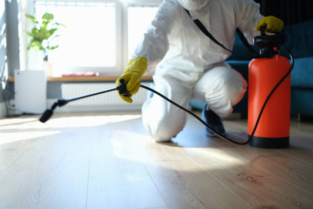 Reliable Sewage Cleanup contractor in Ashland, NJ by Trauma Clean Pros